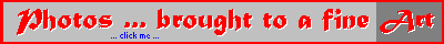 banner2e.gif (1407 Byte)