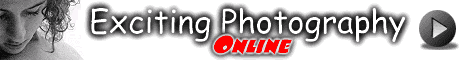 ile_9803.gif (8965 Byte)
